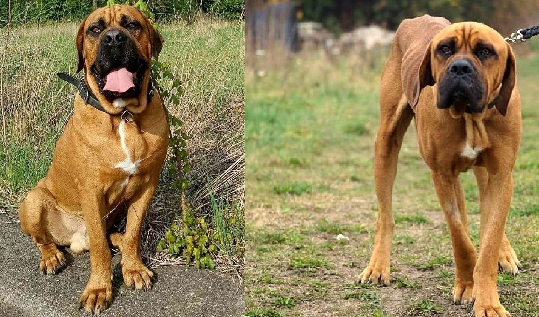 Przemiana - Pluto w kochającym domu <3 