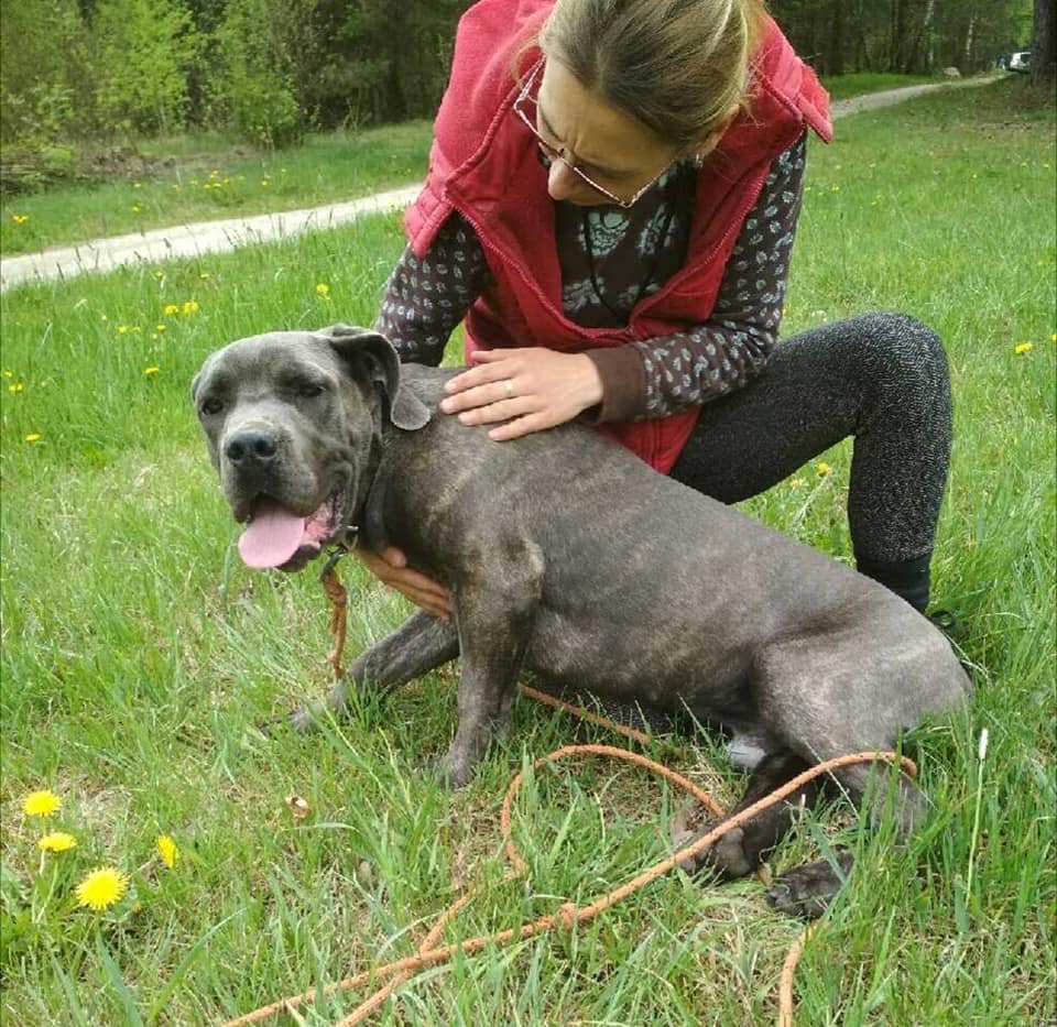 Tores pojedzie z końcem maja do domku ?