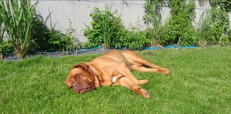 Farciu twierdzi że życie jest piękne - i życzy Wam dobrego dnia i całego tygodnia ?