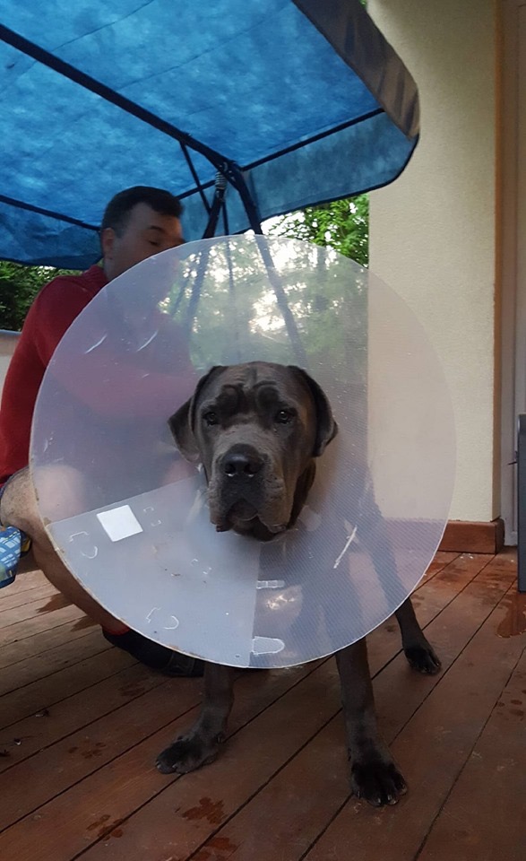 To się dzieje ? Demon vel Grim w akcji - niby gamoń a chyba rumcajs ?