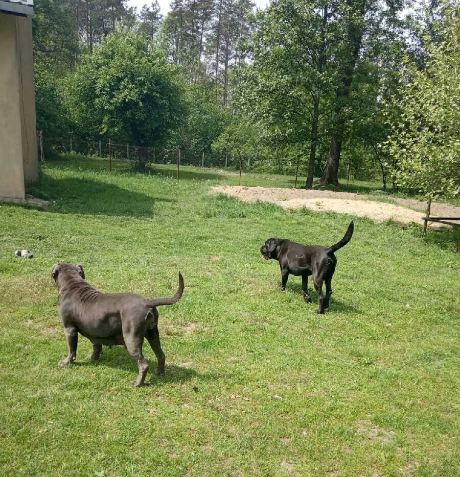 Pt „ nie tak dawno temu , za górami Aida mieszkała co Ivana ustawiała „?❤️?