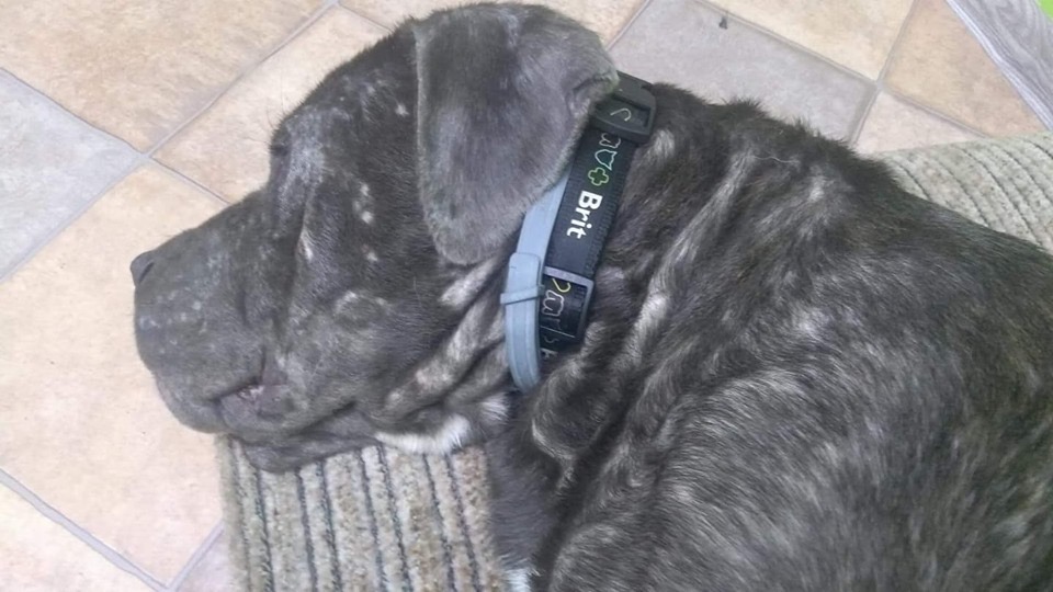 Fionka - trzymajcie za nią kciuki prosimy ✊?