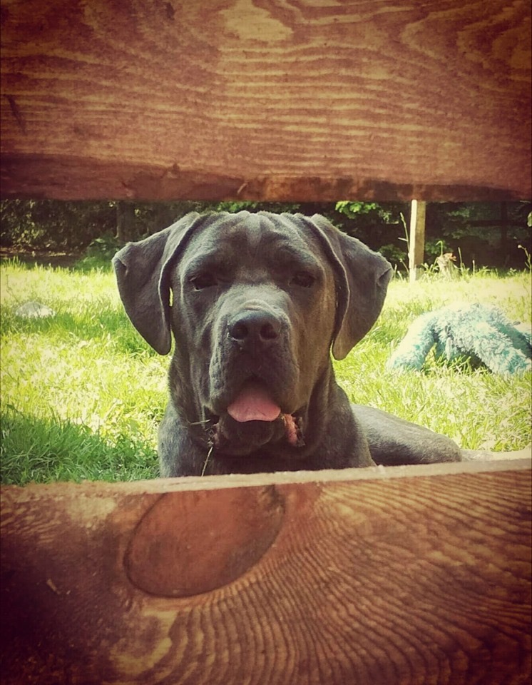 Koniec maja niebawem i Tores do domku nowego zawita ❤️