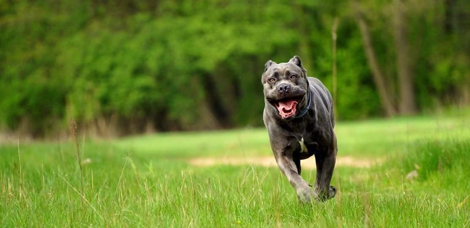 Mowę nam prawie odjęło i serduszka ścisnęło ????