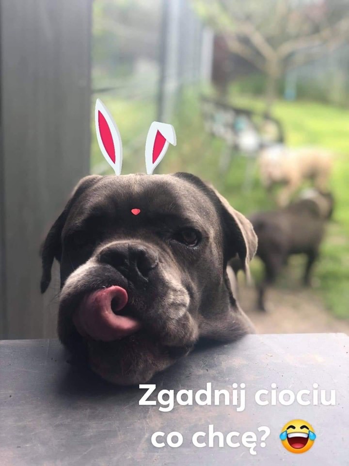 Klejnocik Aparcik czeka na człowieka ?