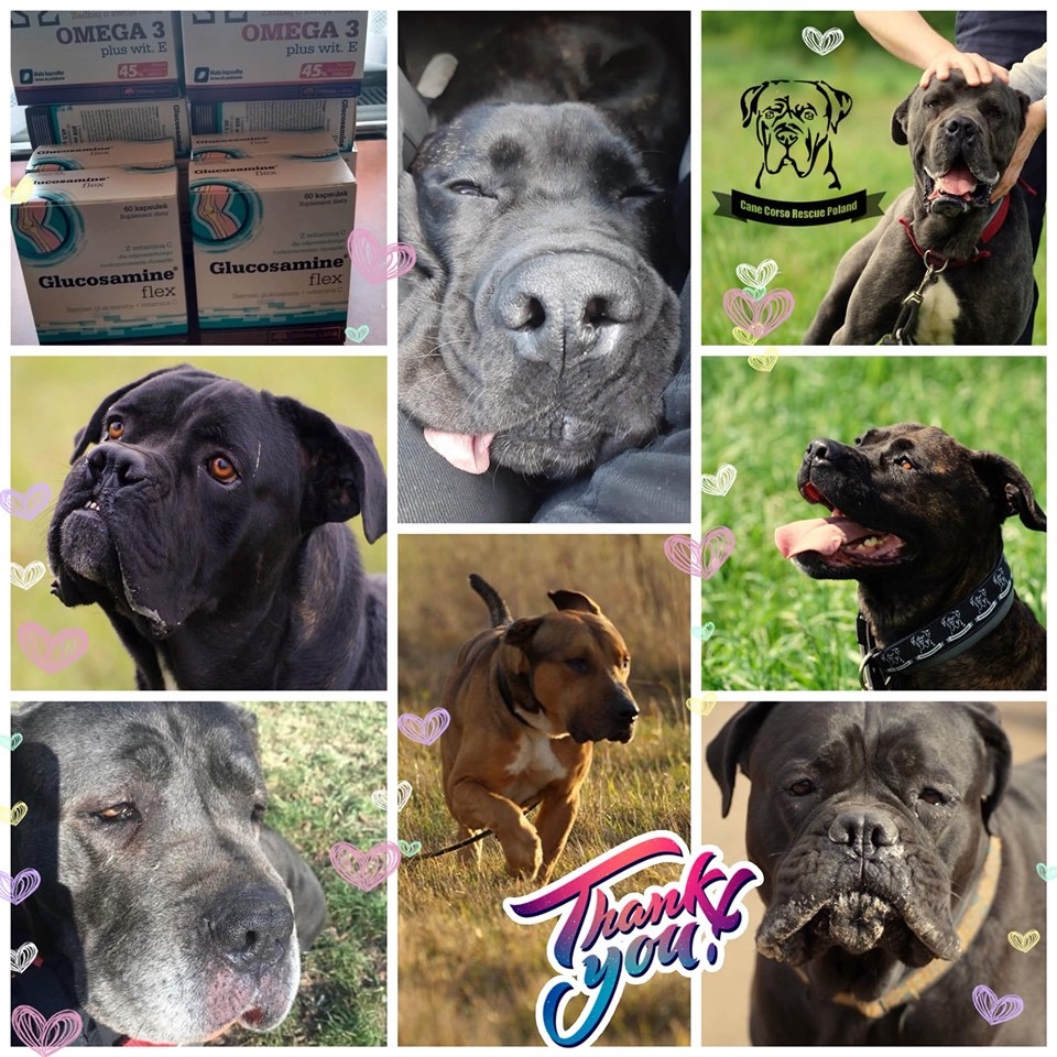 Dorotko jesteś wspaniała ?