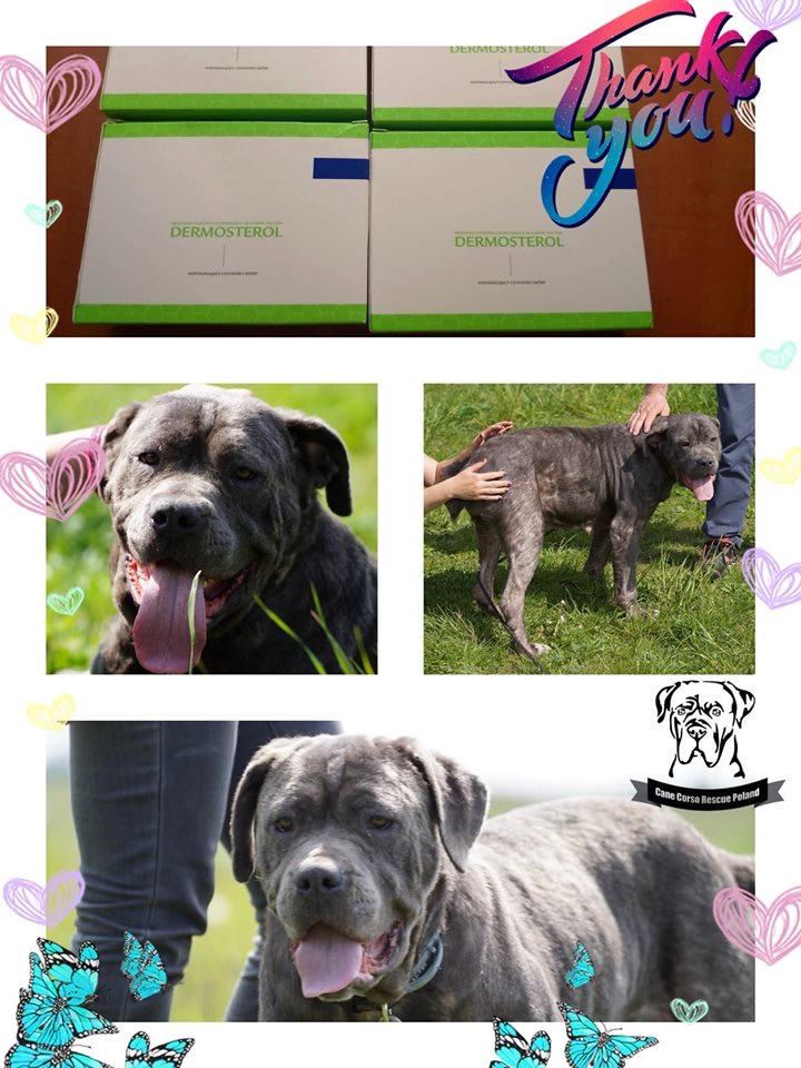 Kolejne podziękowania za dary ślemy ?