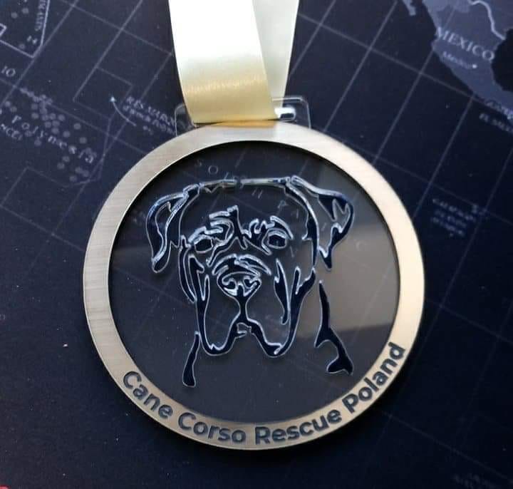 Nasza Rodzina adopciaków - Kochamy Was ?