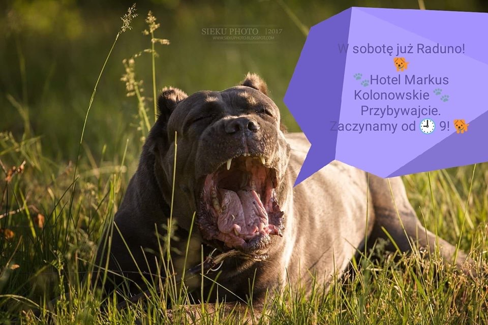 Już w sobotę wieeeelki zlot ??będziecie z nami ?! 