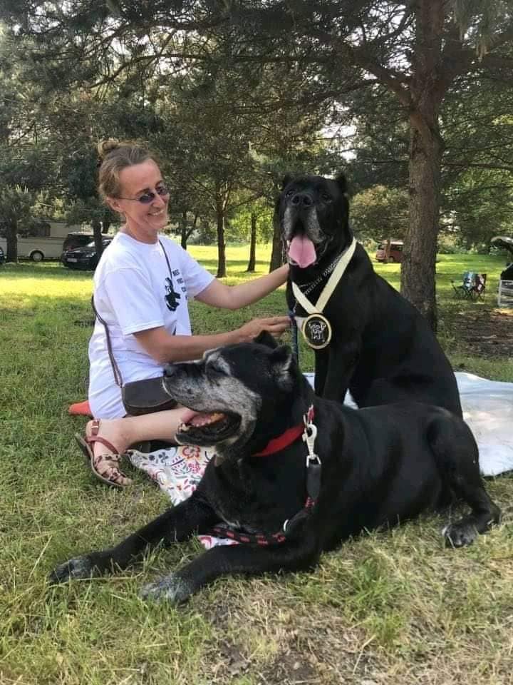 Raduno 2019 - byliśmy , były nasze psiaki adopciaki - oj działo się Kochani ?