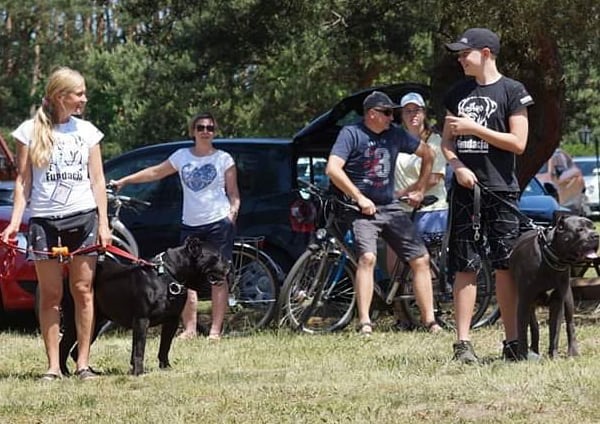 Nasi wolontariusze - wiek nie gra roli ❤️