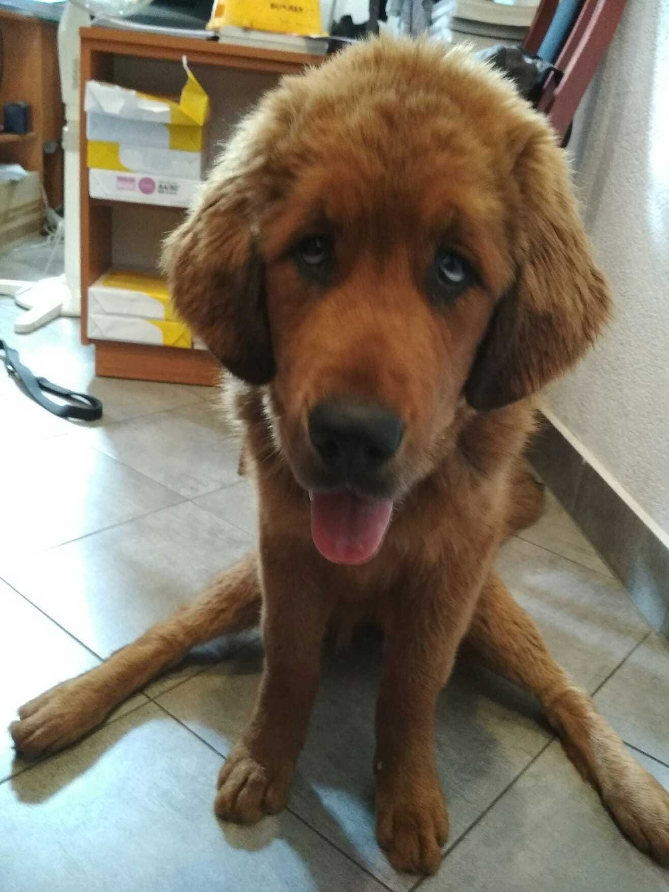 Niebezpieczna Tośka  cd ... ?