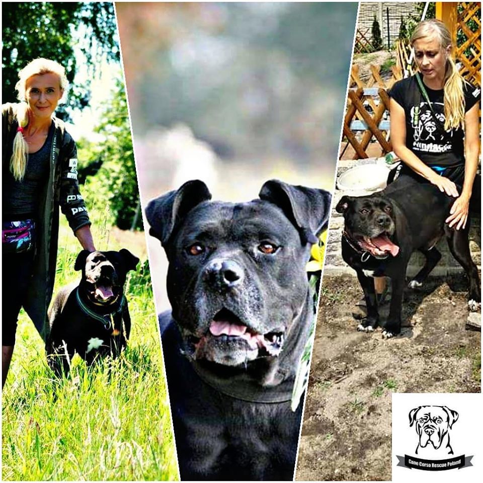 DOMKU GDZIE JESTEŚ?  WANTED HOUSE! 