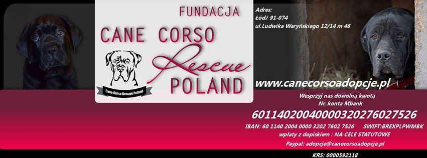 Nowa edycja bazarku na rzecz podopiecznych Fundacji Cane Corso Rescue Poland 