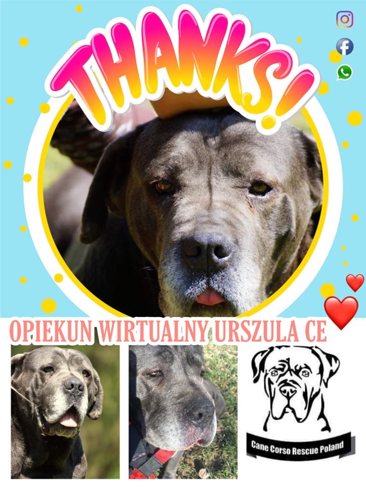 Ciociu Ulu dziękujemy ?