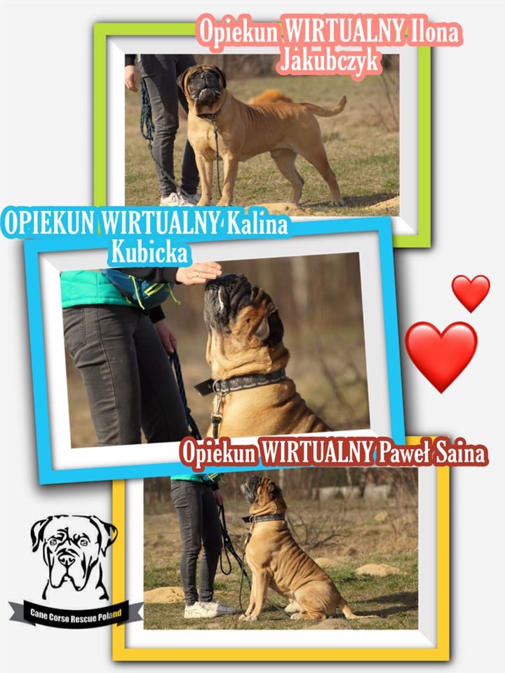 Ilonka , Kalinka i Pawełek - kolejne ciocie i wujkowie wspierający ?