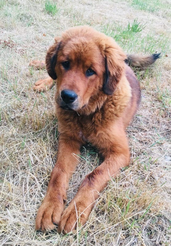 I pojechało nam dziecię do domu ? Tosia ...