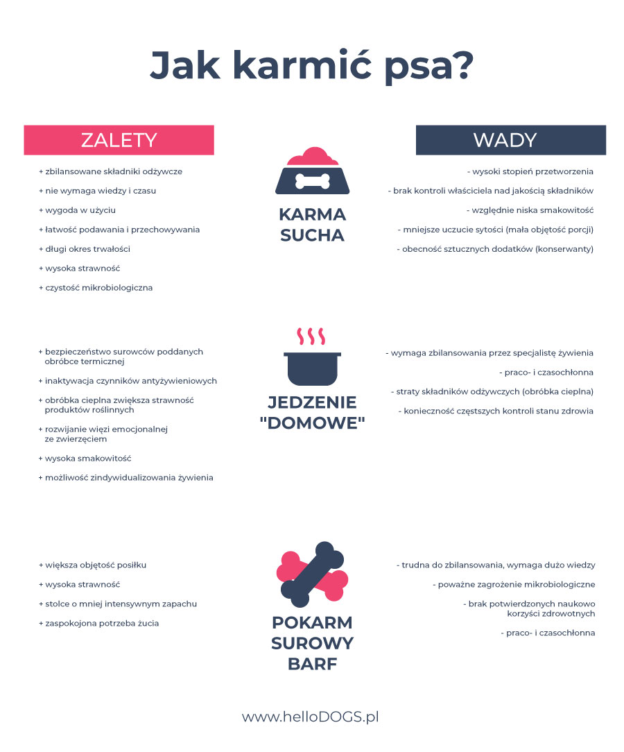 Czym karmić psa - odwieczny dylemat właścicieli ? przyjrzyjcie się tematowi bliżej . 