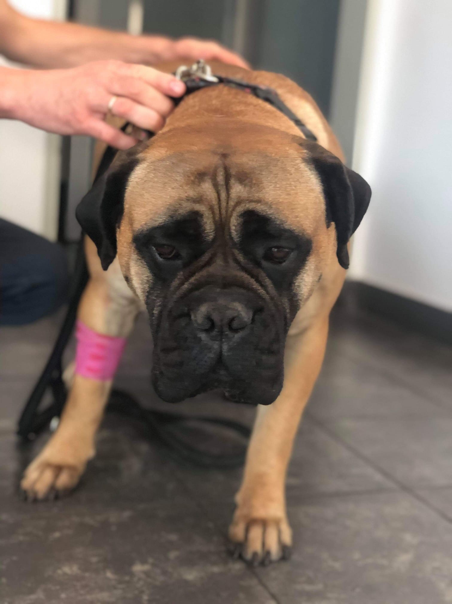 Carmen ❤️Dzielna dziewczynka 