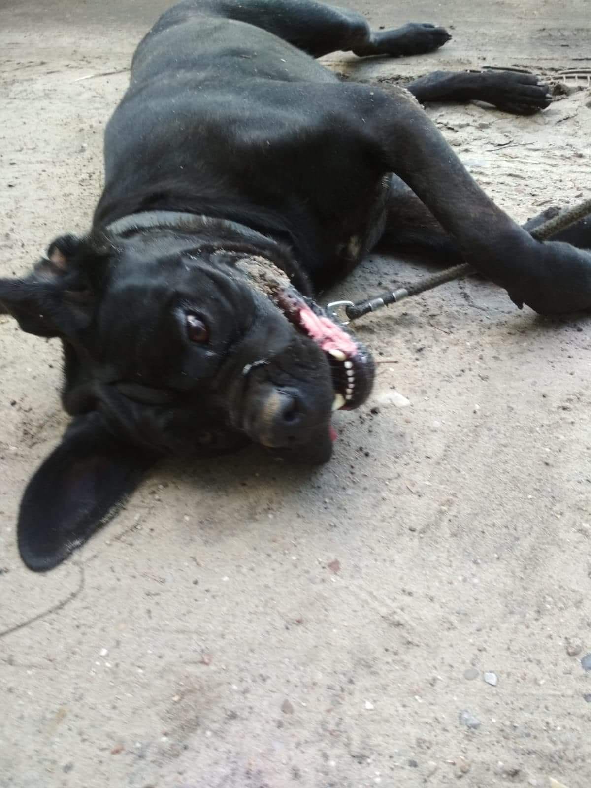 Słuchajcie !!! To ja Jesi !!!! Zacieszam się w końcu ❤️ 