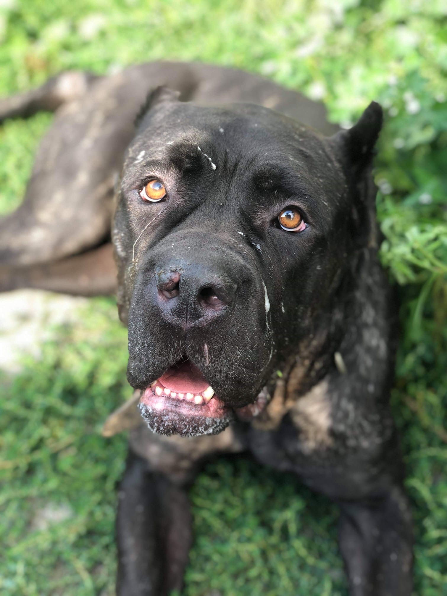 Ciociu obiecujesz że będę już bezpieczna ?- pyta Lexi ?