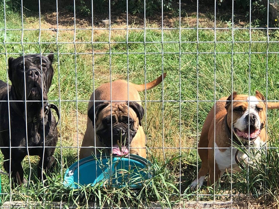 Płakało to nasze dziecię łzami jak grochy ...??