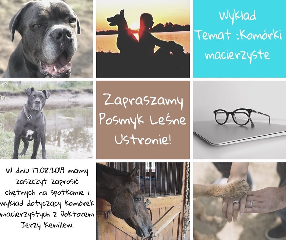 Zapraszamy serdecznie na spotkanie z Doktorem od cudów ?❤️❤️ Dr Kemilewem 