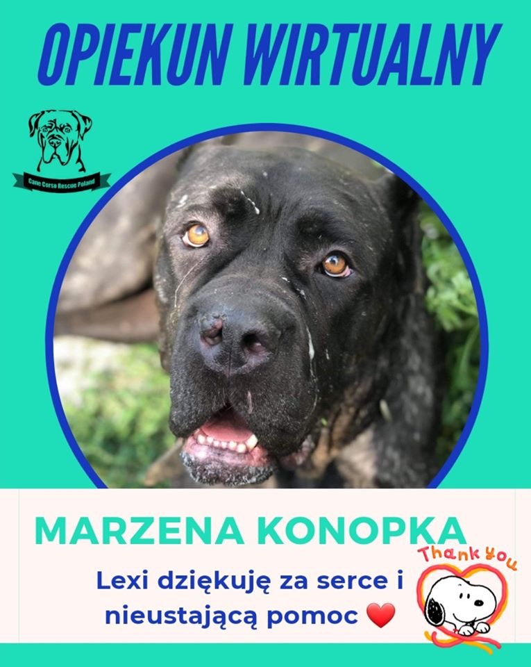 Marzenko dziękujemy Ci serdecznie ??