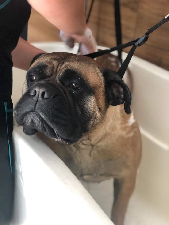 Carmen na nowej drodze życia ? Hmmmm ... cicho sza ?