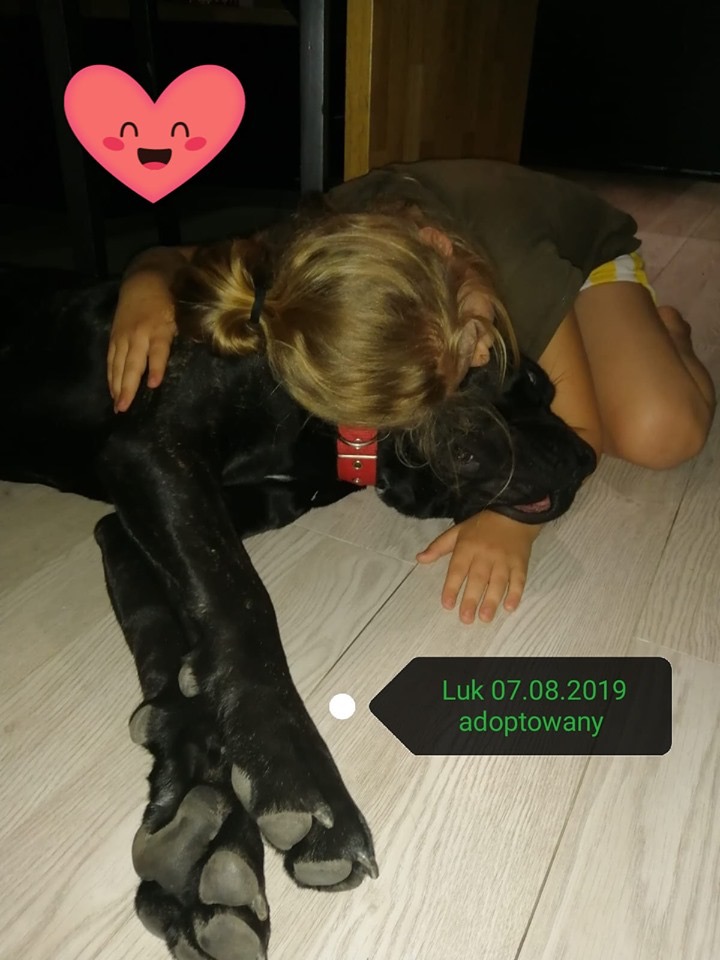 Luk - nasz farciarz ??? 