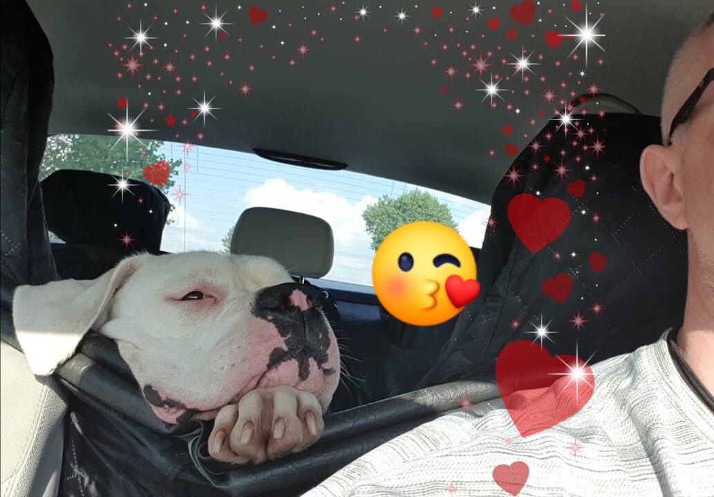 Rozjeżdżają się na dzieciska ? Draka ❤️