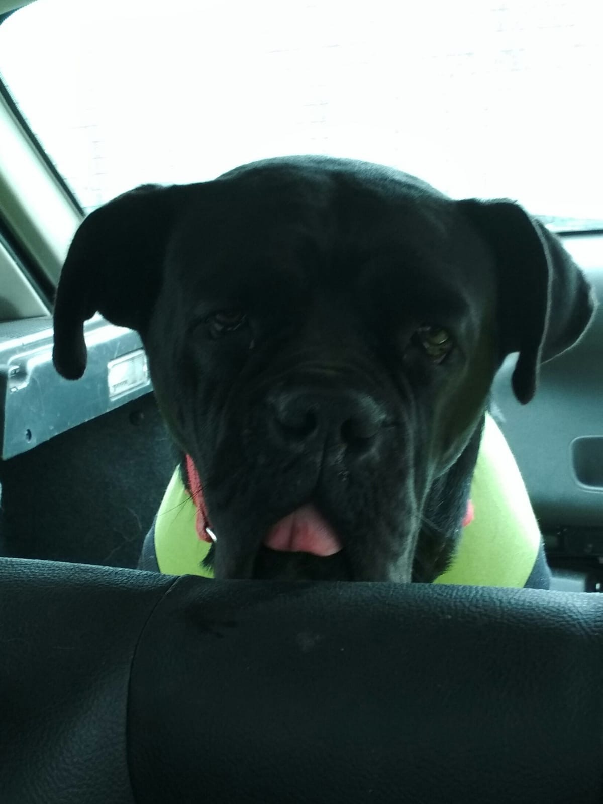 Dorotka już po zabiegu ... ? 