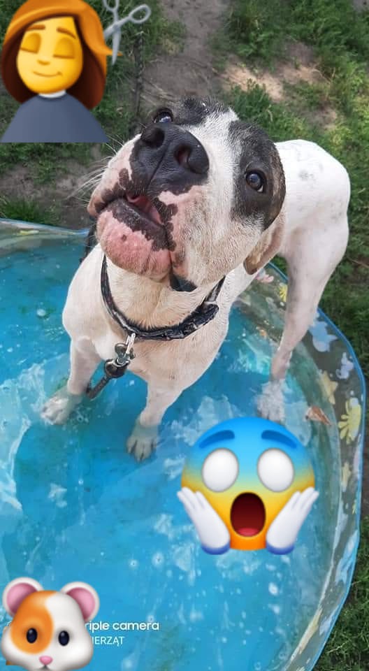 Gordonek - kciuki zaciskamy 