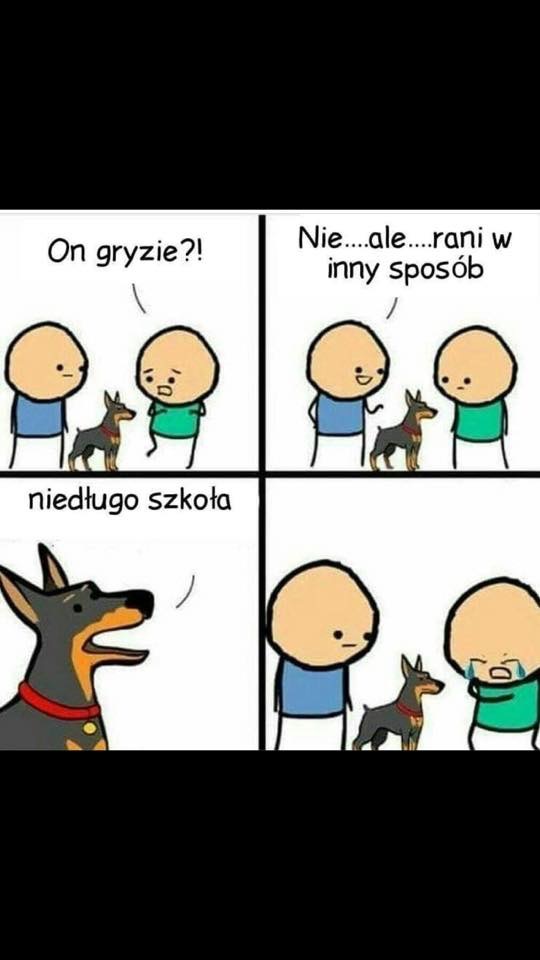 Niedługo koniec laby wakacyjnej uczniowie ?