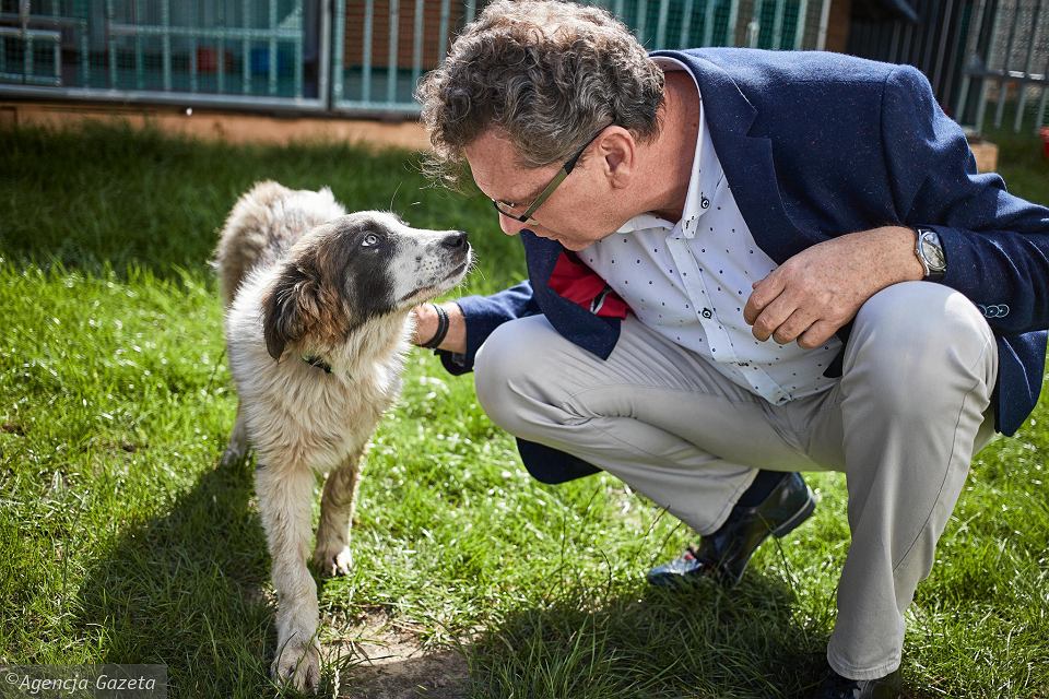 Brawo ten Pan ?✊???