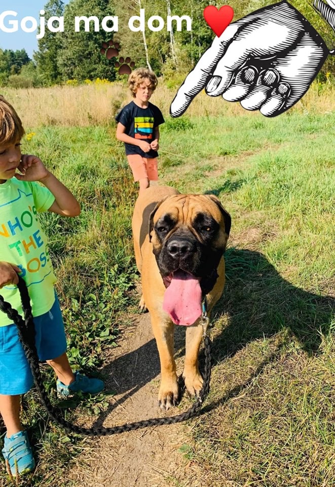 Goja ma domek ❤️