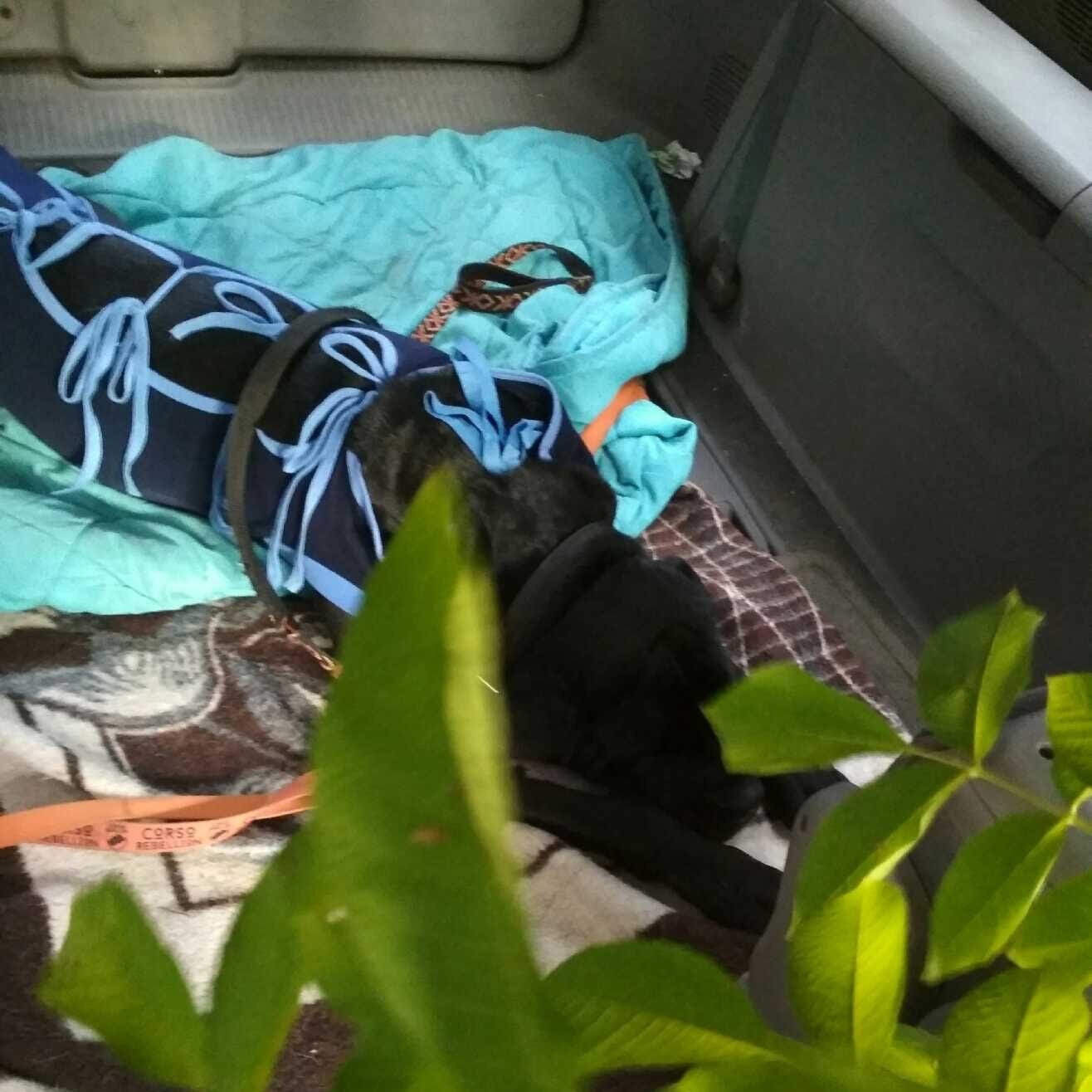 Dobre newsy od Beti ?