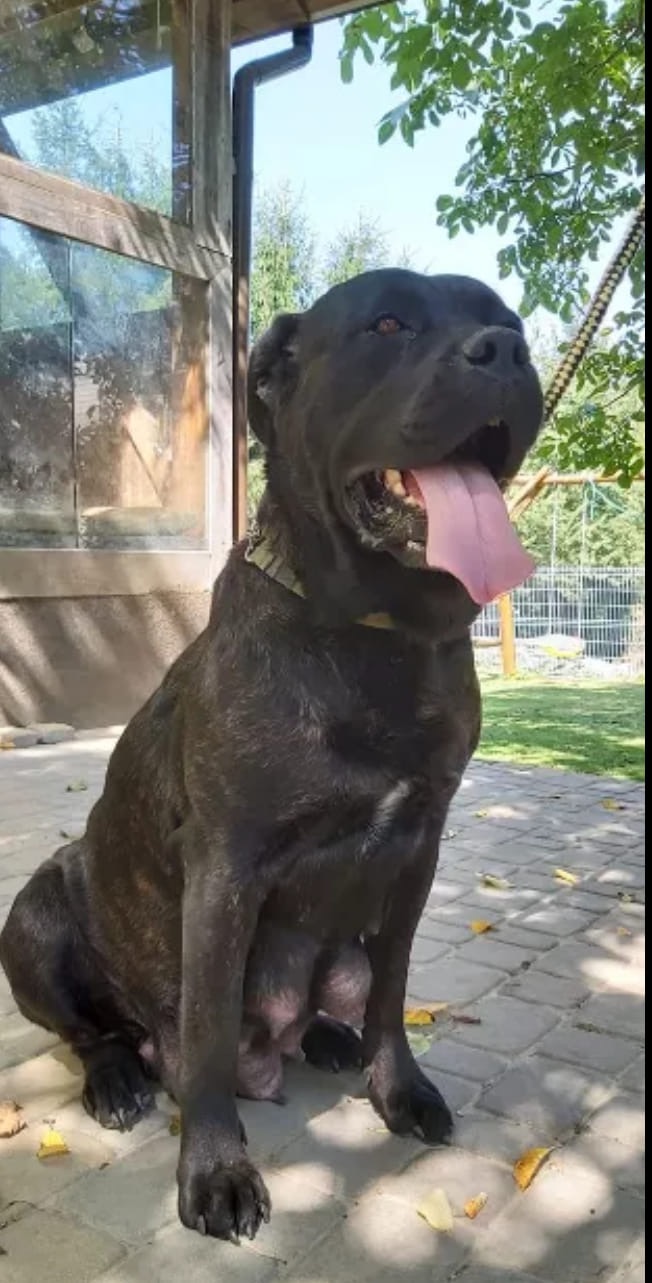 Rita z ...olx ... ? tak ją kochali że ją wypchali ? 