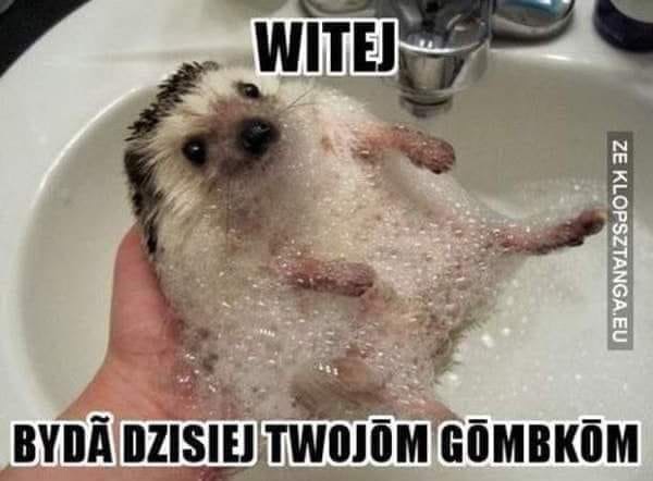 Prośba do Was wszystkich ✊✊✊