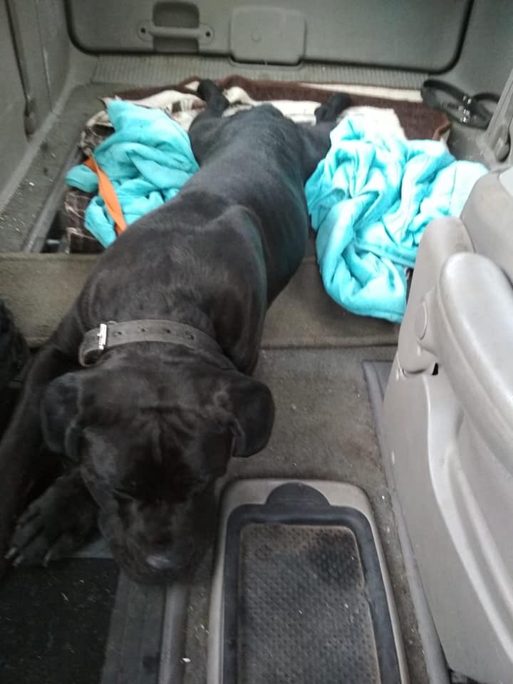 Beti jedzie do Dr Kemilewa ... ✊ zaciśnijcie kciuki mega mocno 