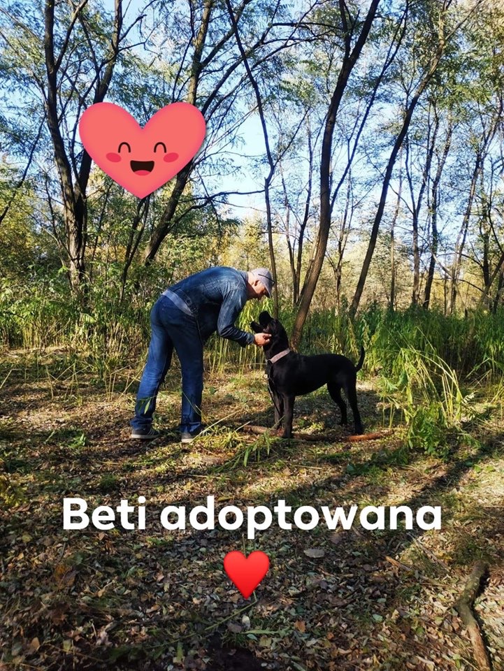 Ha ! Wiedzieliśmy że Beti znajdzie domek i odpowiedzialnych człowieków ?