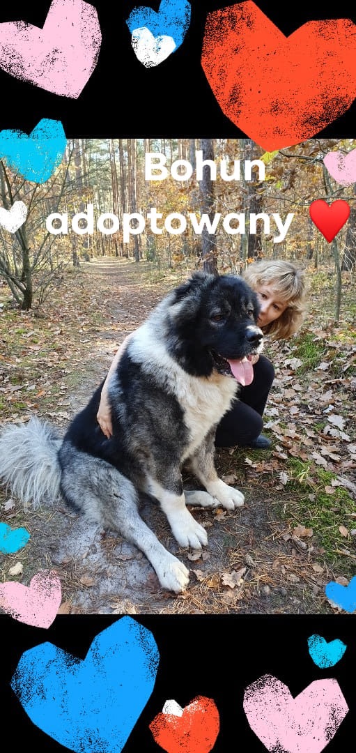 B❤️B czyli team Beatka i Bohun ??