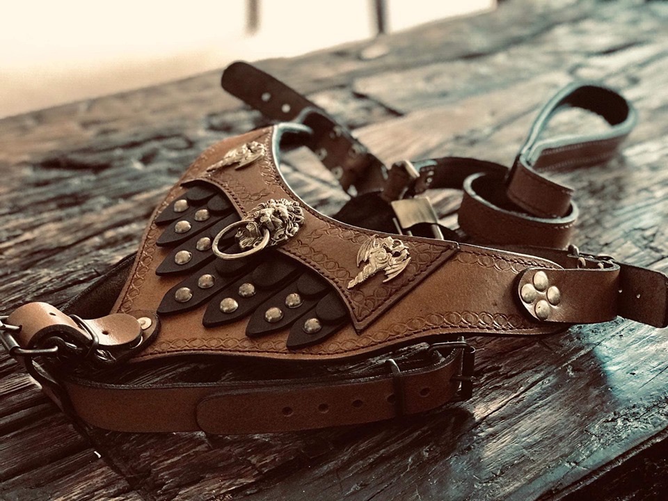 Cuuudne skórzane szelki dla konesera ?❤️?