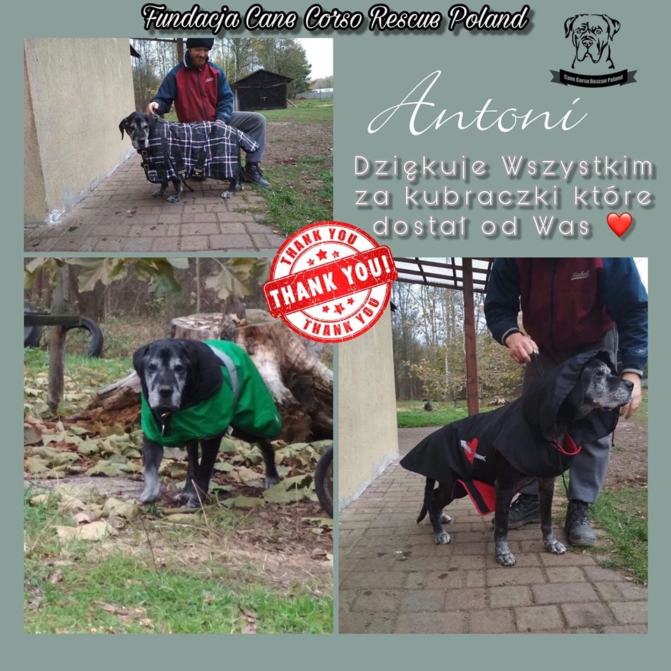 Dary dla Antosia ? cieplutkie kubraczki ☔️❄️☃️