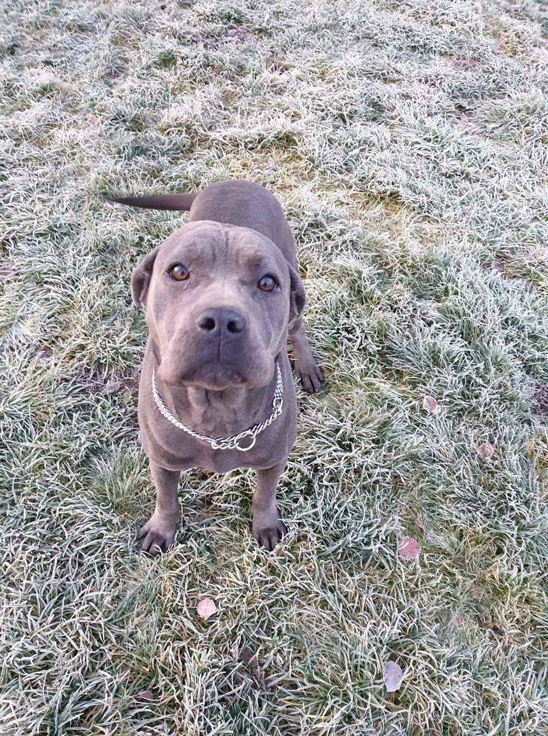 Iva drobinka na pokładzie ❤️