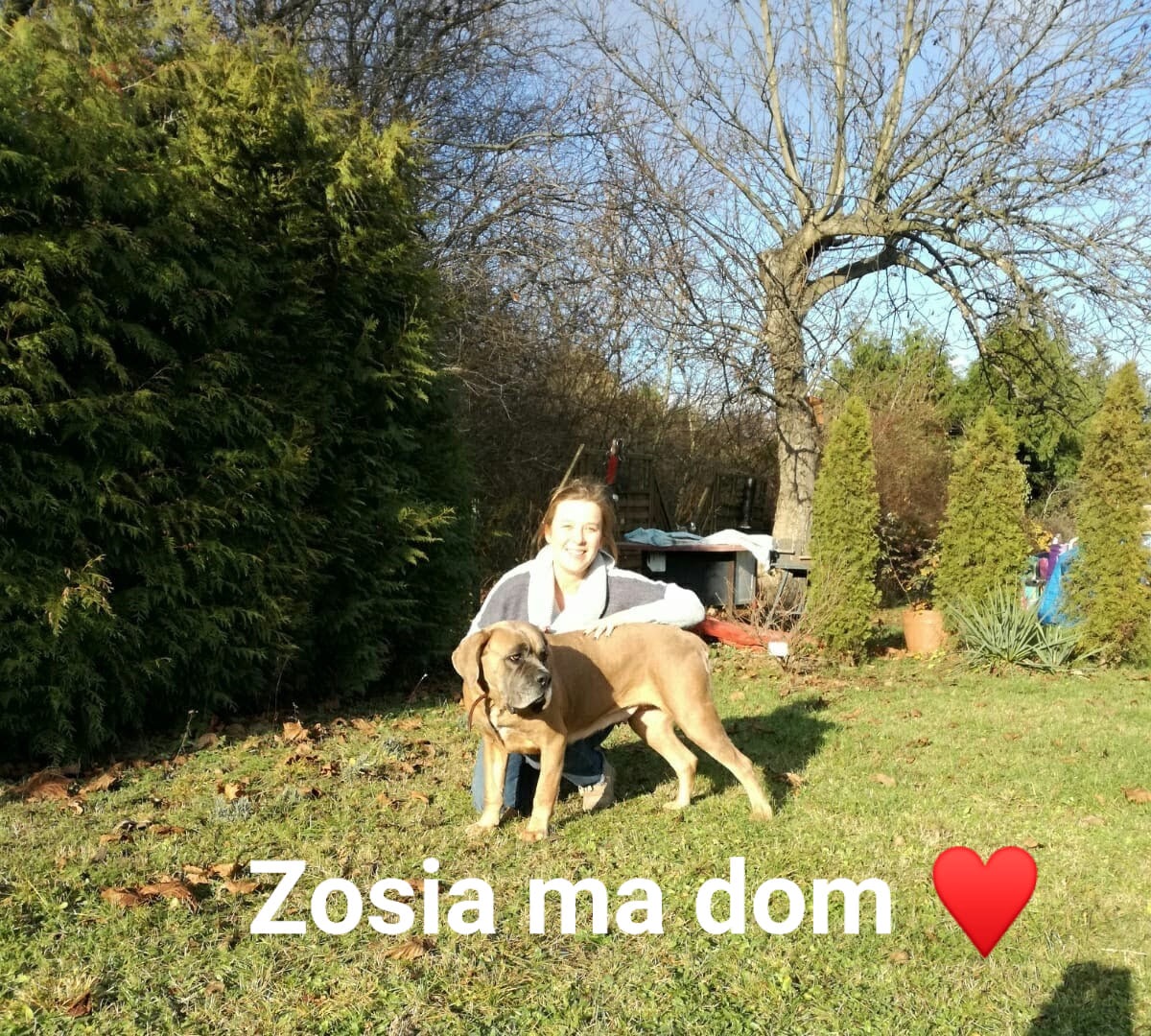 Zosieńka spędzi już święta w nowym domku ❤️
