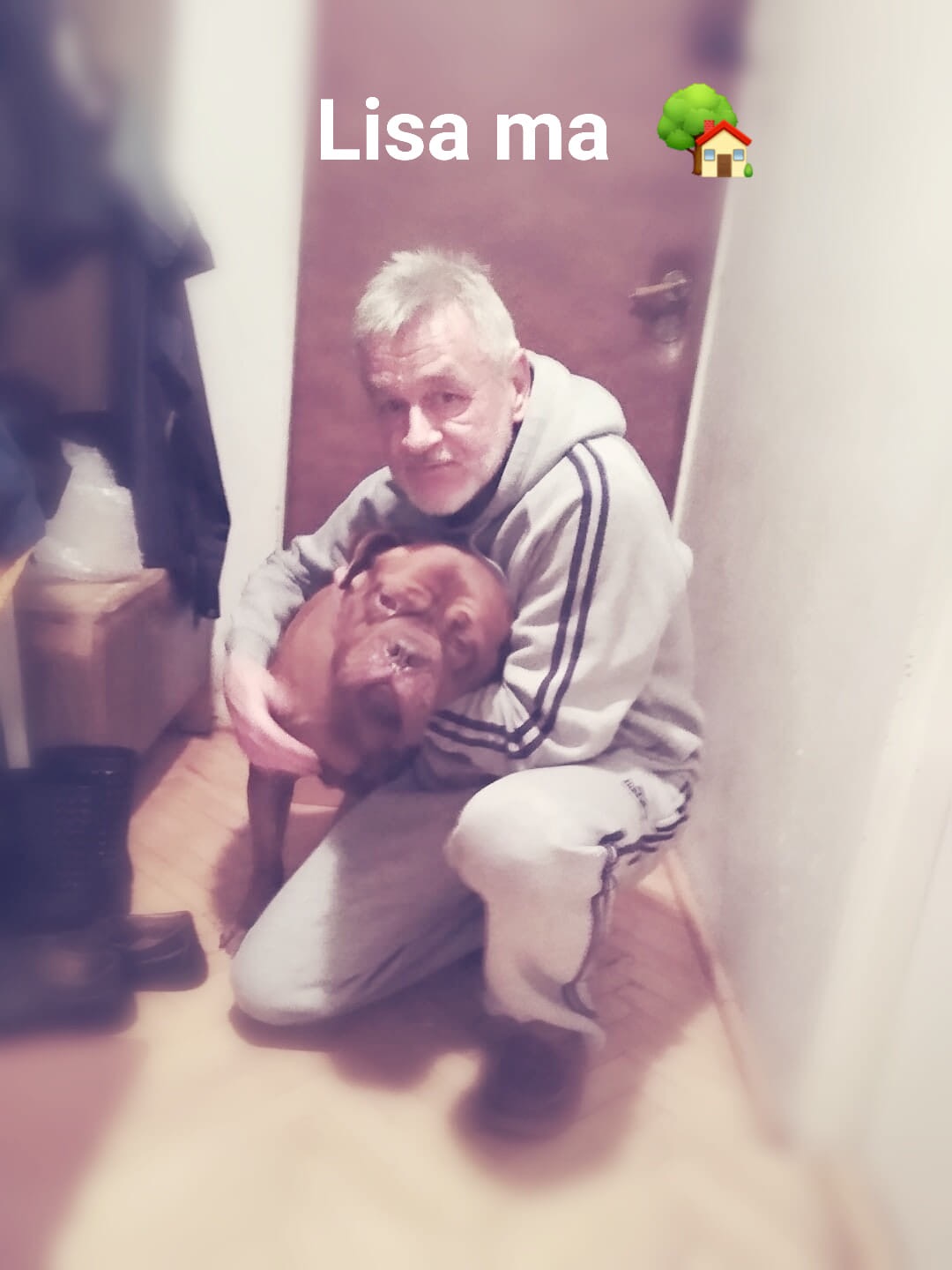 Lisa i jej nowe człowieki ?