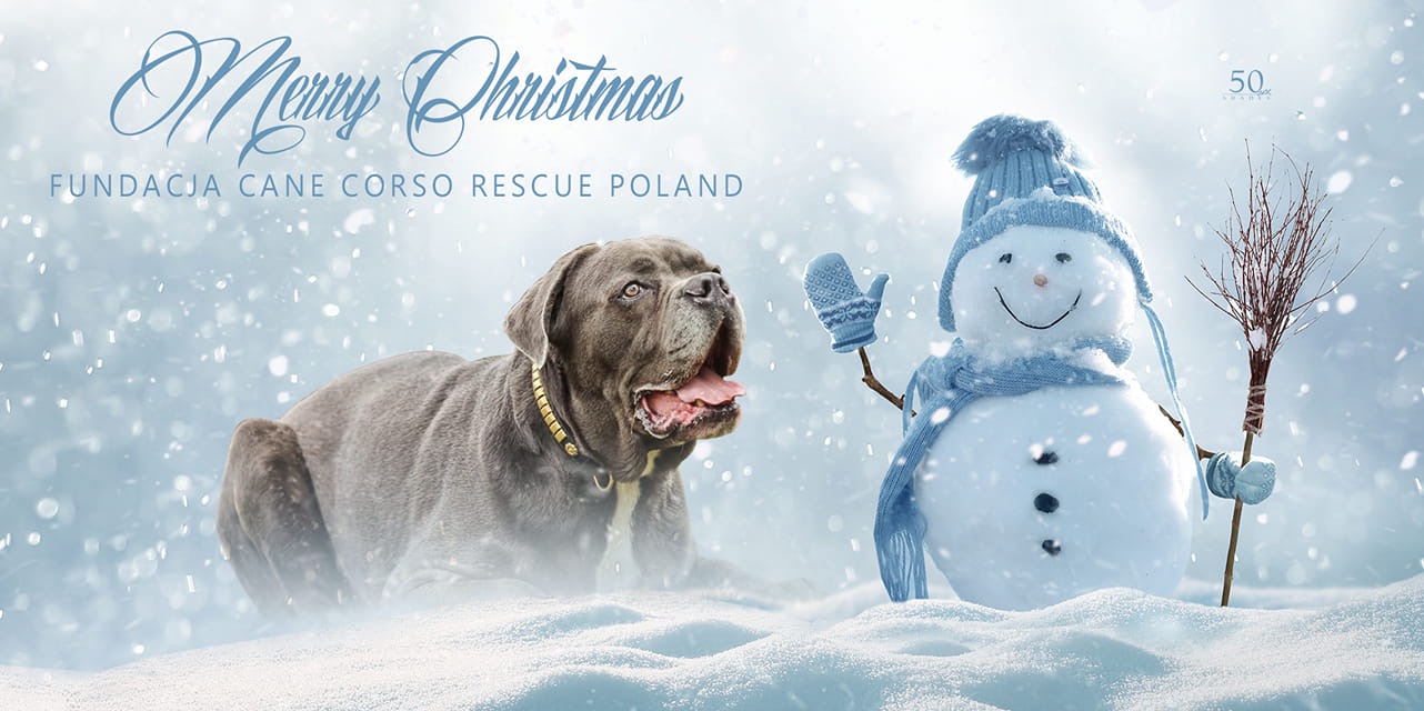 Jako Fundacja jesteśmy w KRS ?