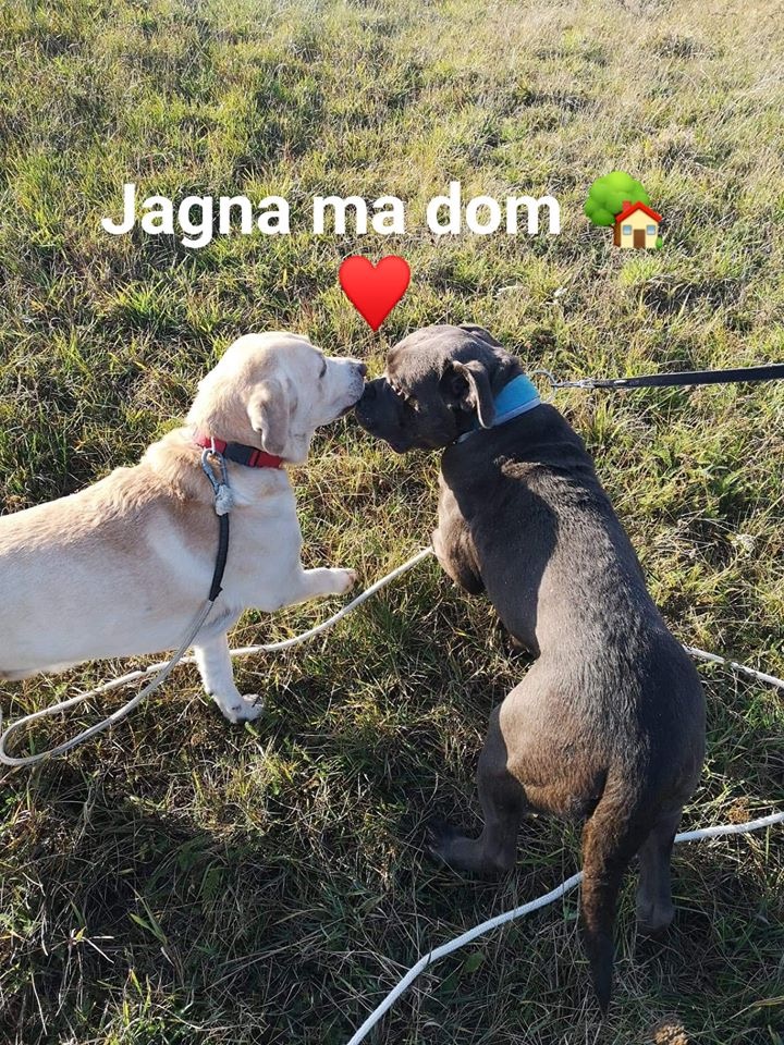 Jagusia w domku  - pokochana nasza żabka ❤️❤️❤️