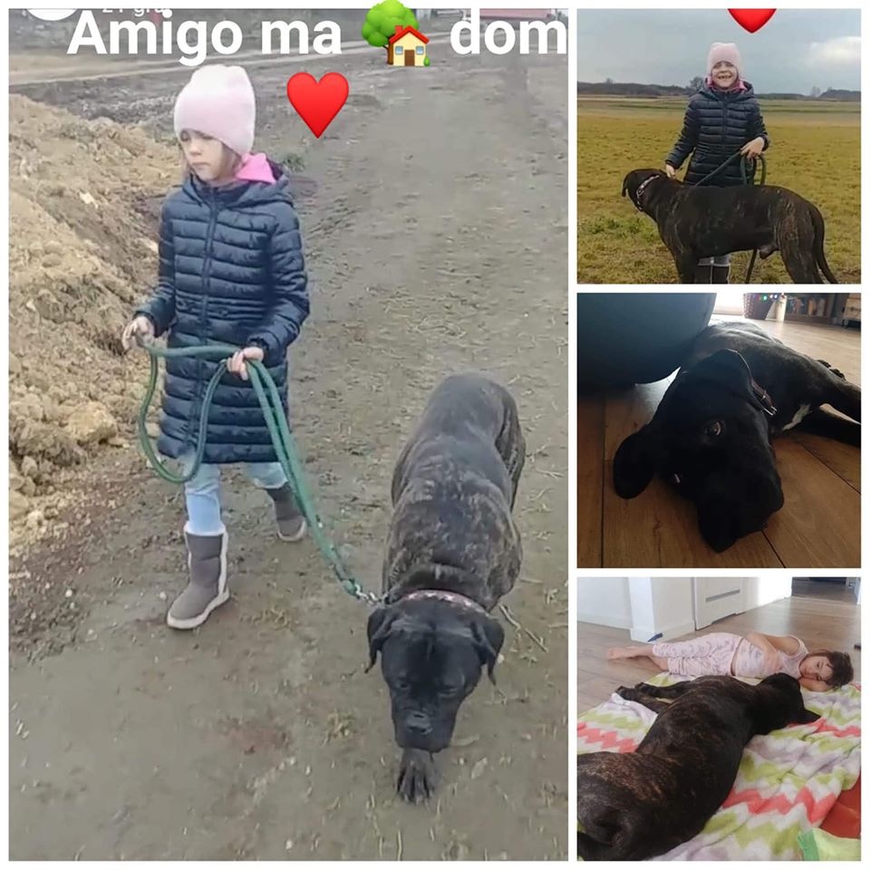 Amigo - ślunski chop ?bo i na Śląsku już stacjonuje 